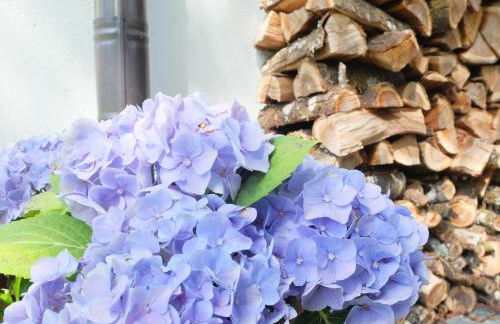 Ferienwohnung Tausendfreund am Chiemsee - Foto 18