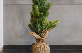 Rubiera Residence - H24 - Foto 65