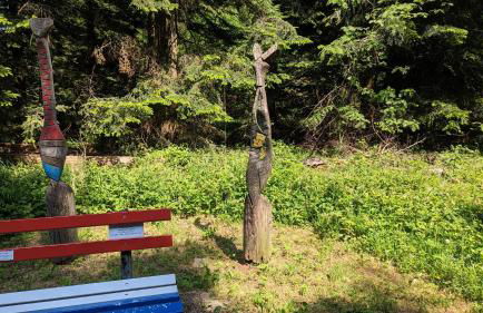 Waldhorn Dobel - Foto 75