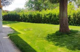 Spacious Apartment in Villa Campanile with Private Pool - Foto 25