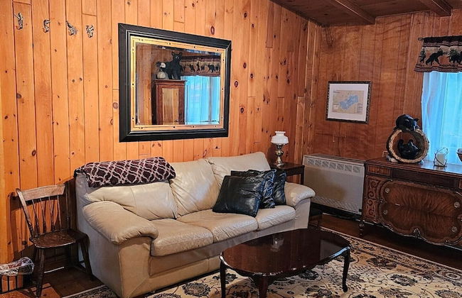 Butler's Bay Teal Lake Cabin - Photo 17