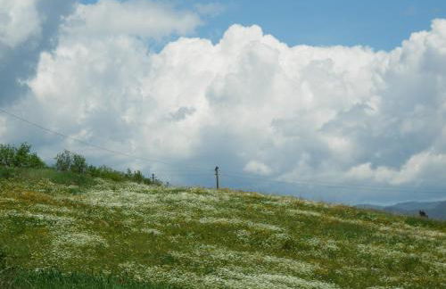 Alluring Farmhouse in Ortignano With Swimming Pool - Foto 18