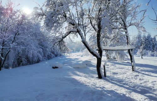 Apartments Escape - Foto 32