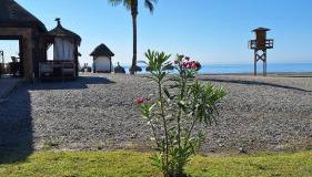 Motril Carpe Diem Primera línea de playa - Foto 2