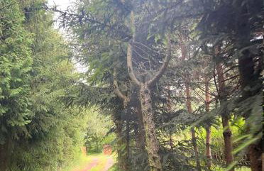 Siedlisko Lubie - Foto 40