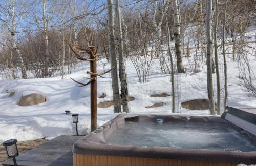 Private Hot Tub, Theater Room, Valet Parking and Ski & Boot Storage at Ritz Carlton - Foto 62