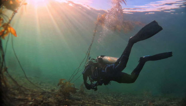 Beagle Channel Diving - Foto 3