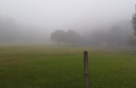 Quinta da Boa Vista São Chico - Foto 34