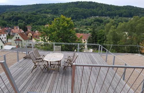 Ferienwohnungen Thüringer Wald - Foto 2