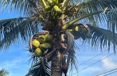 Coconut Trail Resort Unit - Foto 30