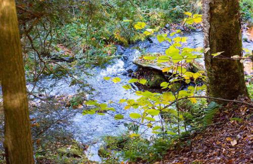 Birch Creek Lodge - Foto 7