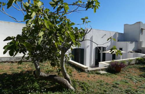 Corte del Mare - Dimora Fronte Mare nel Salento - Foto 12