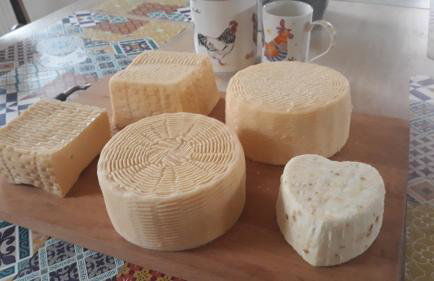 Kozy i Róże - Foto 62