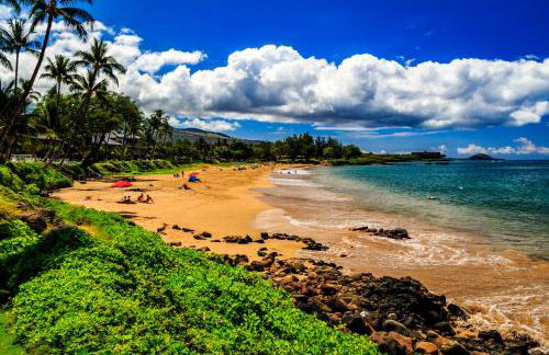 Beautiful Condo at Kihei Ali'i Kai, Close to Beach - Foto 102