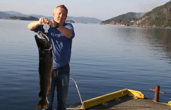 4 Person Holiday Home in Fister - Photo 18