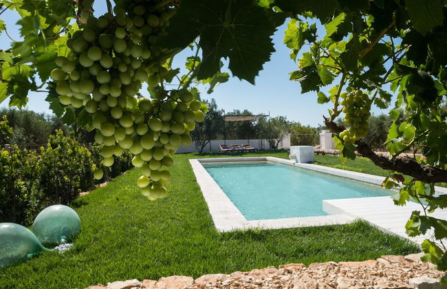 Masseria Le Cerase - Photo 26