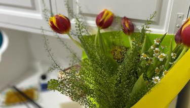 La Casina Azzurra - Photo 4