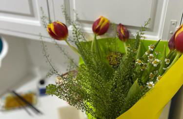 La Casina Azzurra - Photo 4