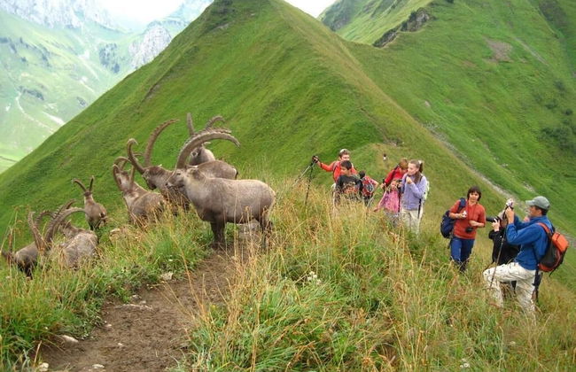Les Cimes du Léman - Photo 20