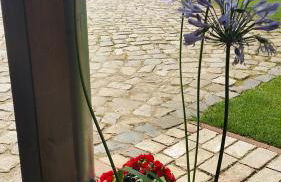 Ferienwohnungen Dirk Laurisch - Foto 58