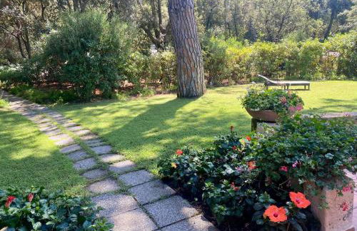 Villa Elisa - Foto 6