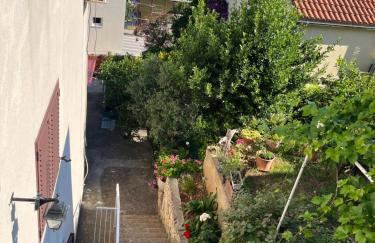 Apartments Despotović - Photo 8