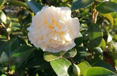 CAMPO DE SOBARBO - Guest House rural - Foto 54