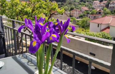 Apartman NONO - Foto 29