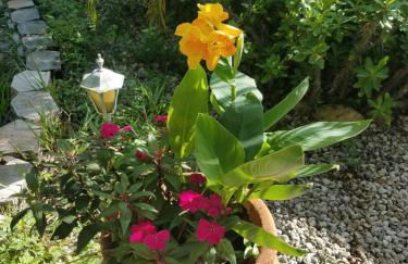 Beautiful Vacation Home Across From Lake Okeechobee - Foto 106