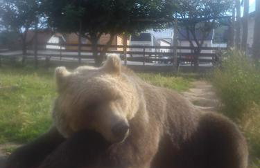 Apartment Gradina - Foto 39