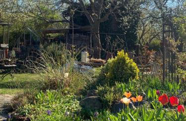 Ferienwohnung am Netzener See - Foto 11