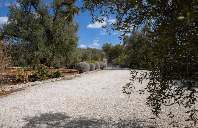 Casa Lavanda in San Michele Salentino - Foto 22