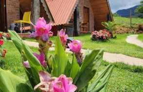 Chalés Flor do Caparaó em Patrimonio da Penha - Foto 1