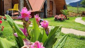 Chalés Flor do Caparaó em Patrimonio da Penha - Photo 1