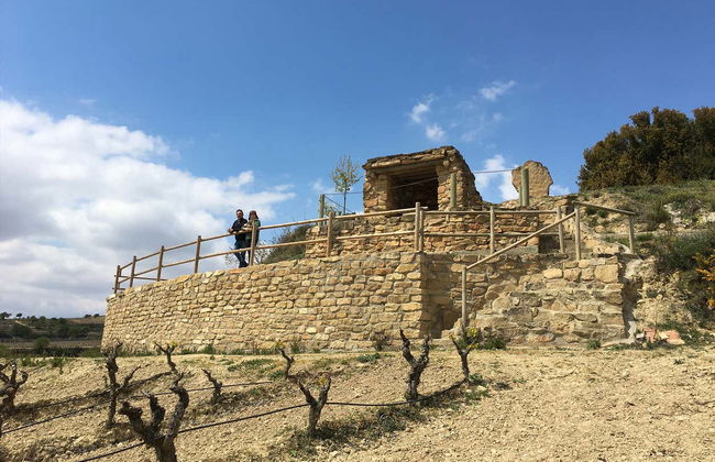Bodegas Loli Casado Winery Tour - Foto 4
