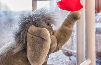 MADI' casa vacanze - Foto 28