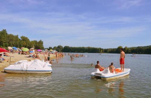 Luxury Villa in France with Pool - Foto 26