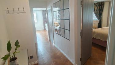 Modern Ground Level Flat - Photo 3