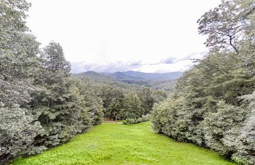 Black Bear's Den - Foto 4