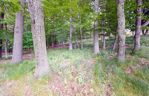 Willis Croft - Foto 48