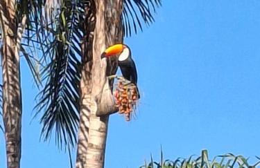 Espaço da Iza - Foto 14