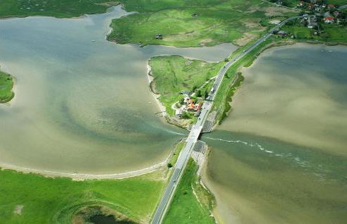 Seeschwalbe - Foto 33