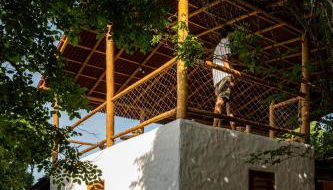 Casa Perobinha - Foto 4