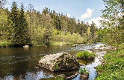 Edelstein Ferienwohnung Philippsreut - Foto 59
