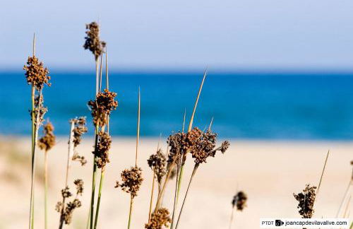 TarracoHomes, TH156 Casa Roser Familiar y con Piscina Compartida - Photo 34