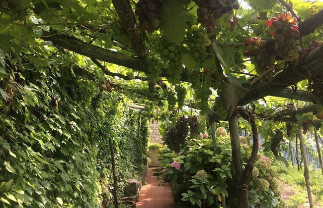 Residence Le Villette - Foto 20