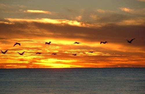 Dunes of Panama E1703 'After-Dune Delight' - Foto 46