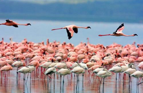 Casa Natura Carabassi Beach - Foto 55