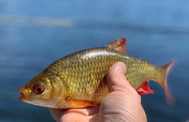 Święty Spokój Łąka i Woda - Foto 74