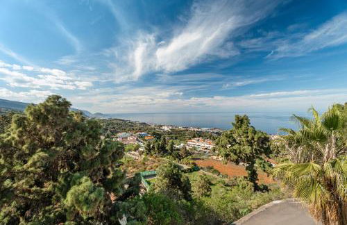 Buena - Vista - Foto 34